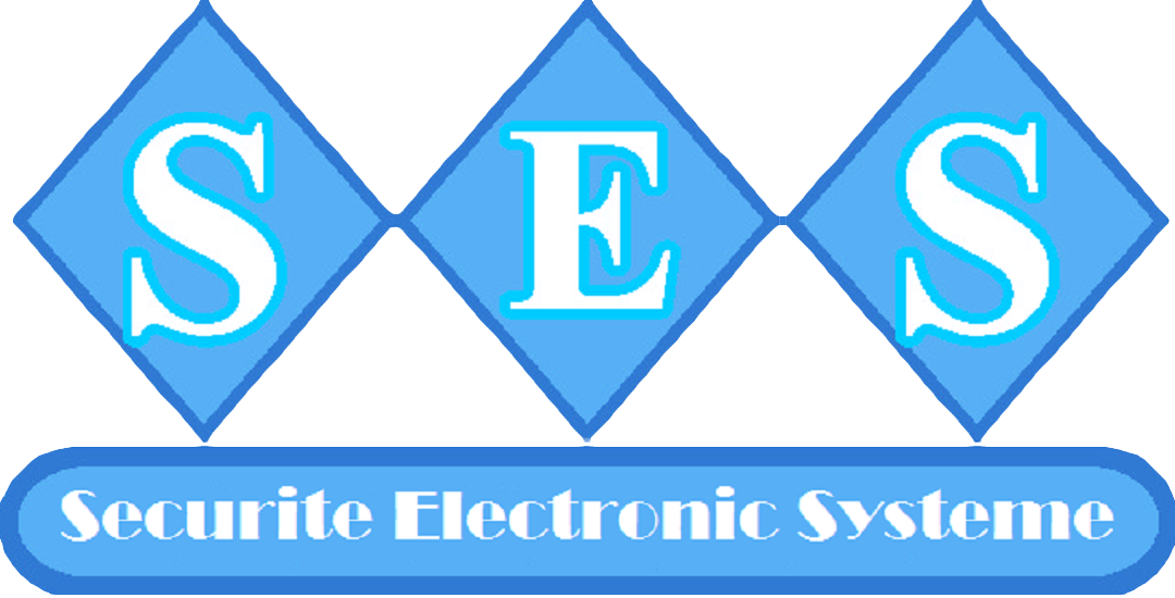 EURL SECURITE ELECTRONIC SYSTEME